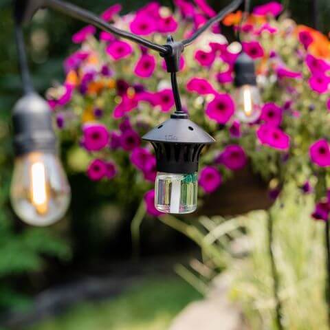 DIY: How to Make String Light Planters- TIKI LEARN