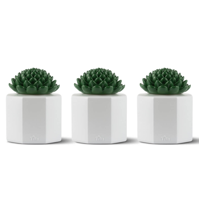 3 pack of tiki brand succulent glass table torches
