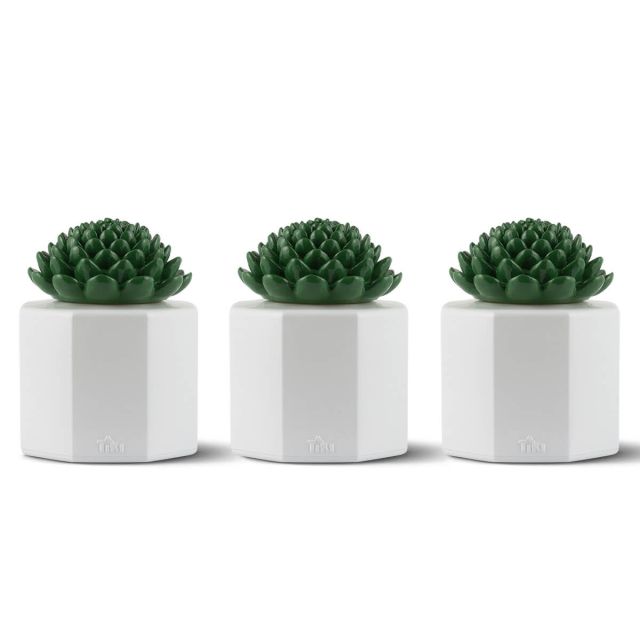 3 pack of tiki brand succulent glass table torches