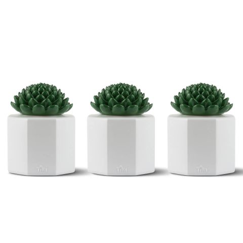 3 PACK - SUCCULENT GLASS TABLE TORCHES